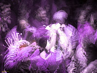 [thumbnail image: undr_dancefloor02.jpg]