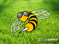 [thumbnail image: undr_japanesebee.jpg]